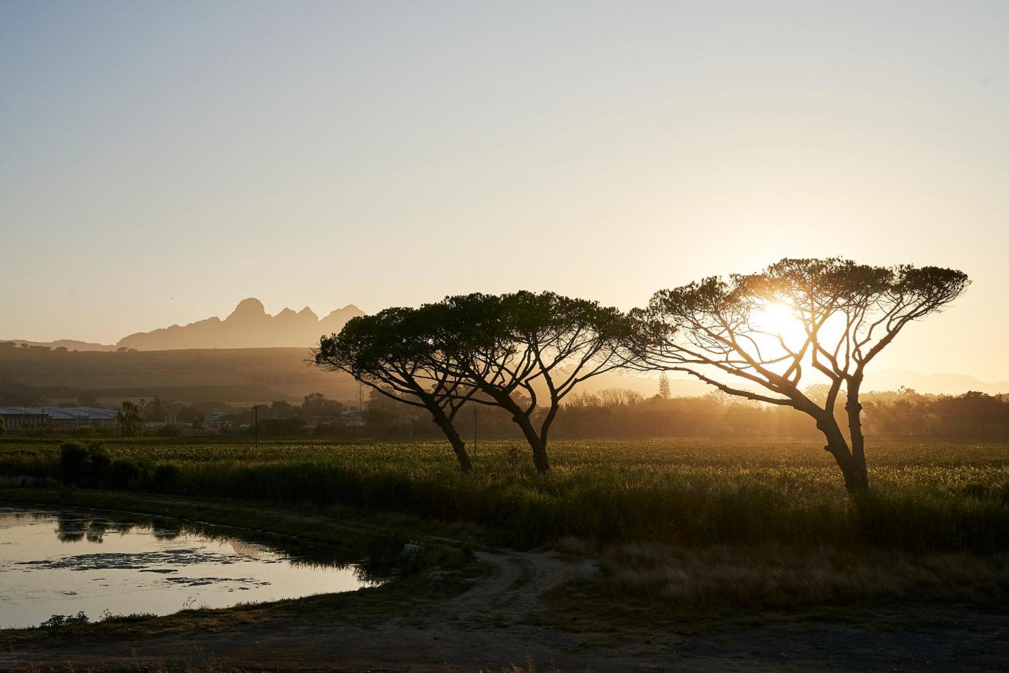 Vergenoegd Loew Boutique Hotel & Spa Cape Town Luaran gambar