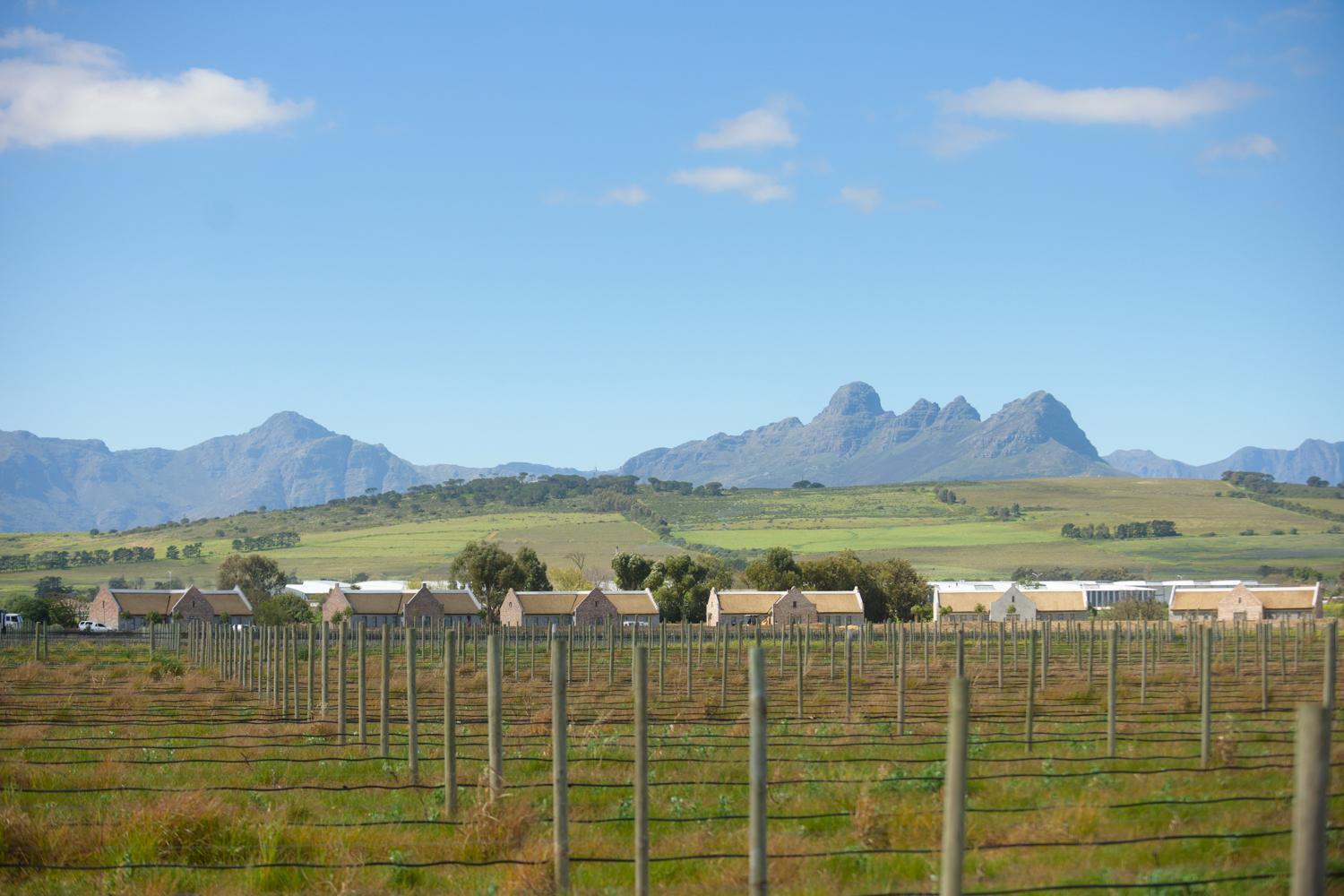 Vergenoegd Loew Boutique Hotel & Spa Cape Town Luaran gambar